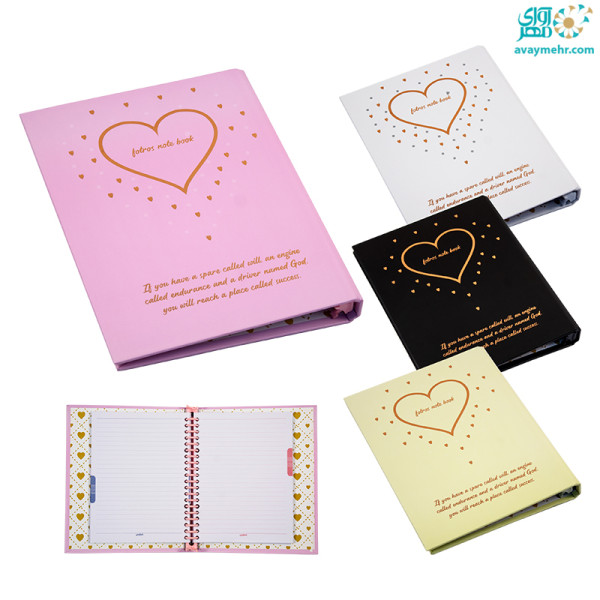 کلاسور ۲۰ حلقه قلبی